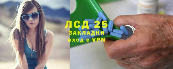 стаф Касимов