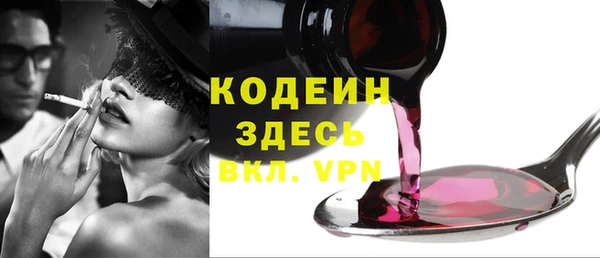 стаф Касимов