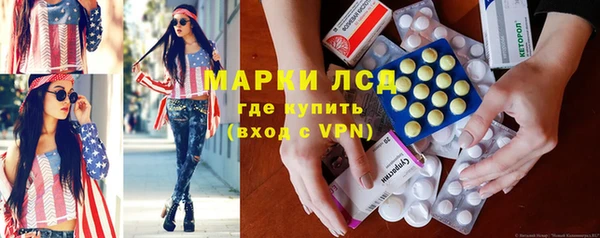 стаф Касимов
