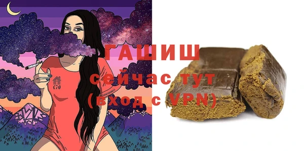 стаф Касимов