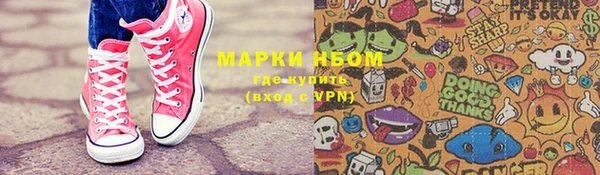 стаф Касимов
