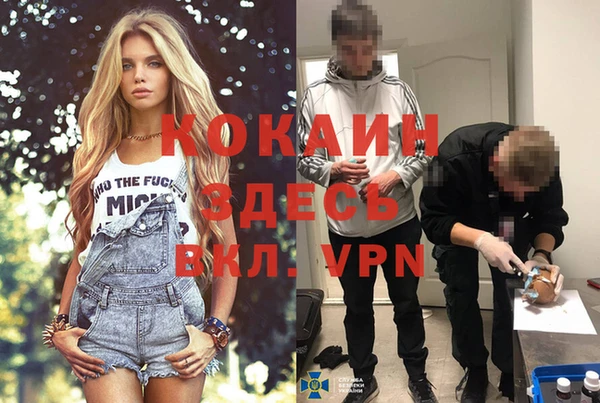 стаф Касимов